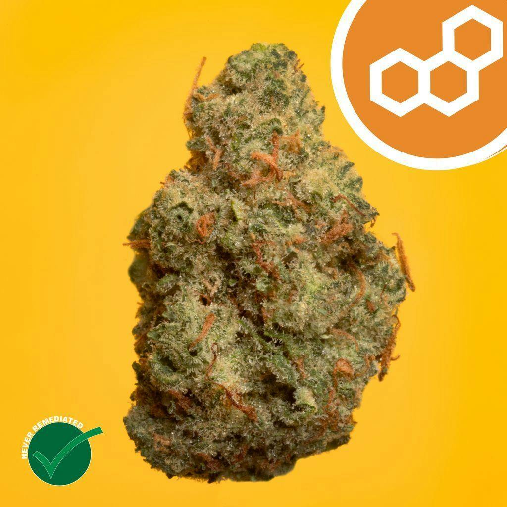 Theraplant Grand Pappy's Chillemon 3.5g Flower