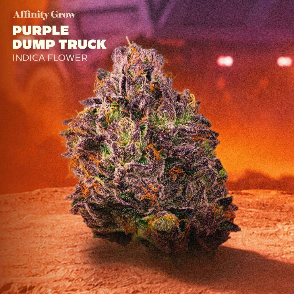 Affinity Purple Dump Truck 3.5g Flower