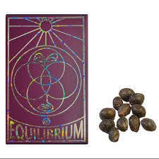EQUILIBRIUM GENETICS PROJECT GMO FEMINIZED SEED 5PK