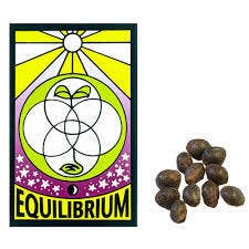 EQUILIBRIUM GENETICS SOUR DIESEL BX SEED 12PK