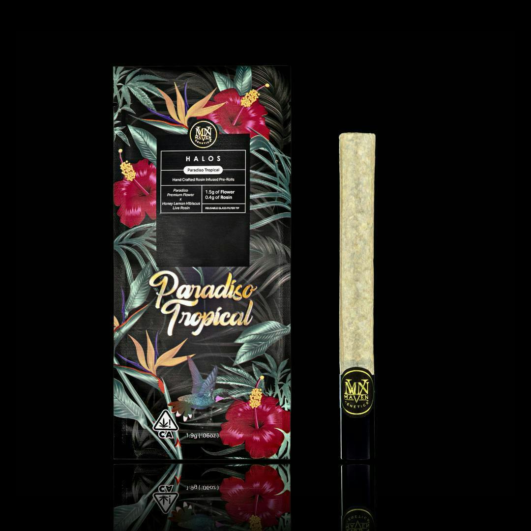 MAVEN - PARADISO TROPICAL 1.9G INFUSED HALO PREROLL