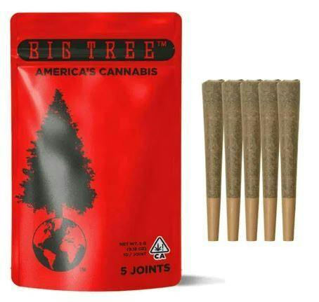 BIG TREE - LEMON CHERRY GELATO 1G PREROLLS 5PK
