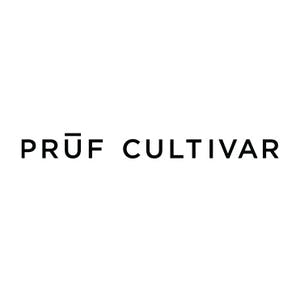 Pruf Cultivar -: Ursa Major