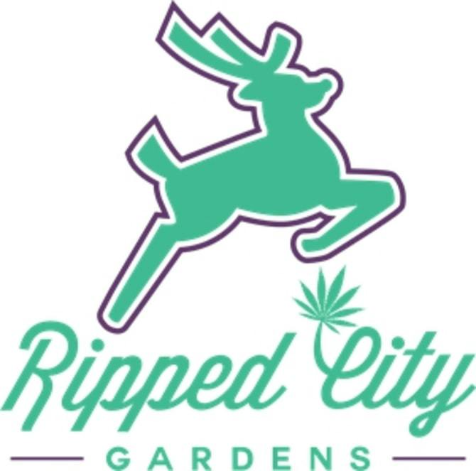 Ripped City Gardens: Grand Daddy OG