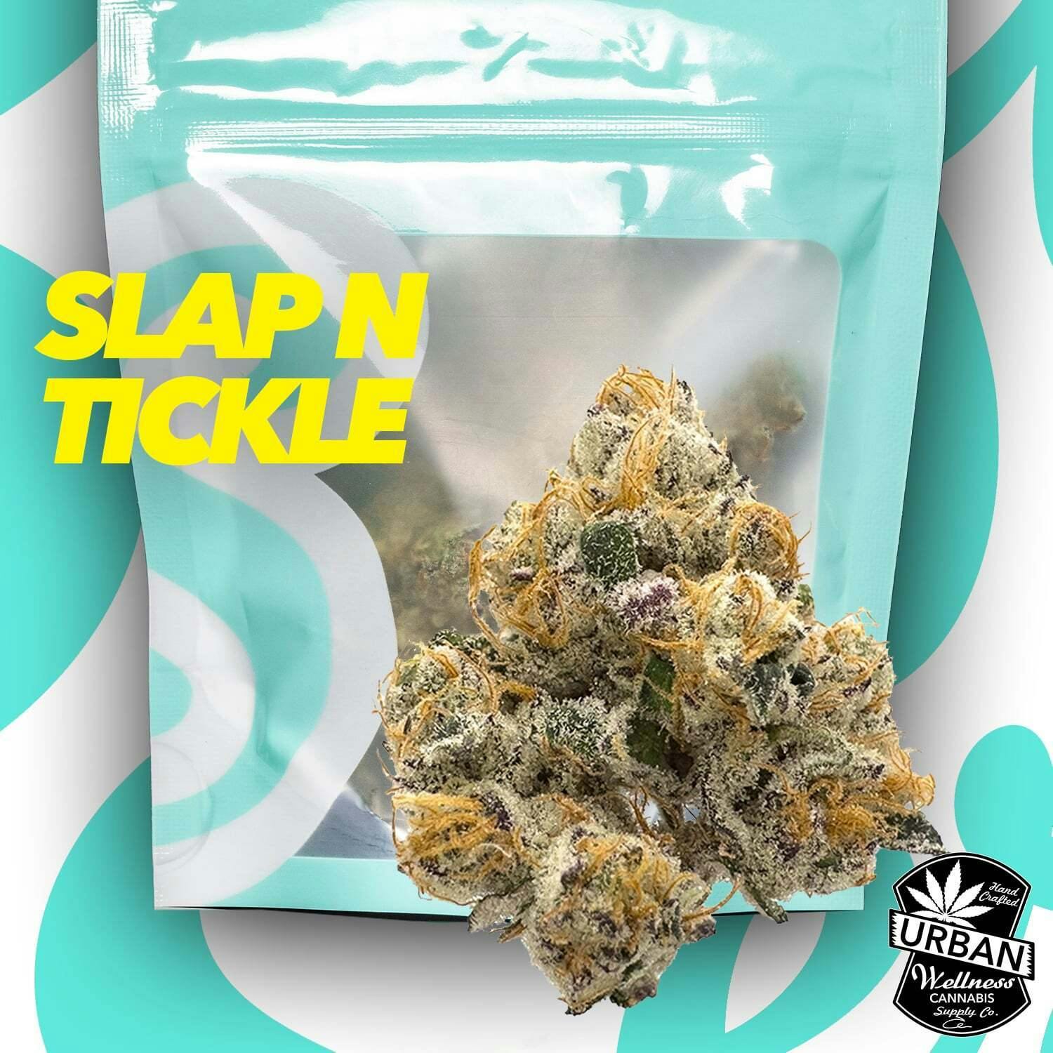 Slap N Tickle | Soft Serve