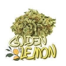 Golden Lemons-Smalls 28G TAC:30.58
