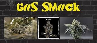 Gas Smack-3.5g tac 28.66
