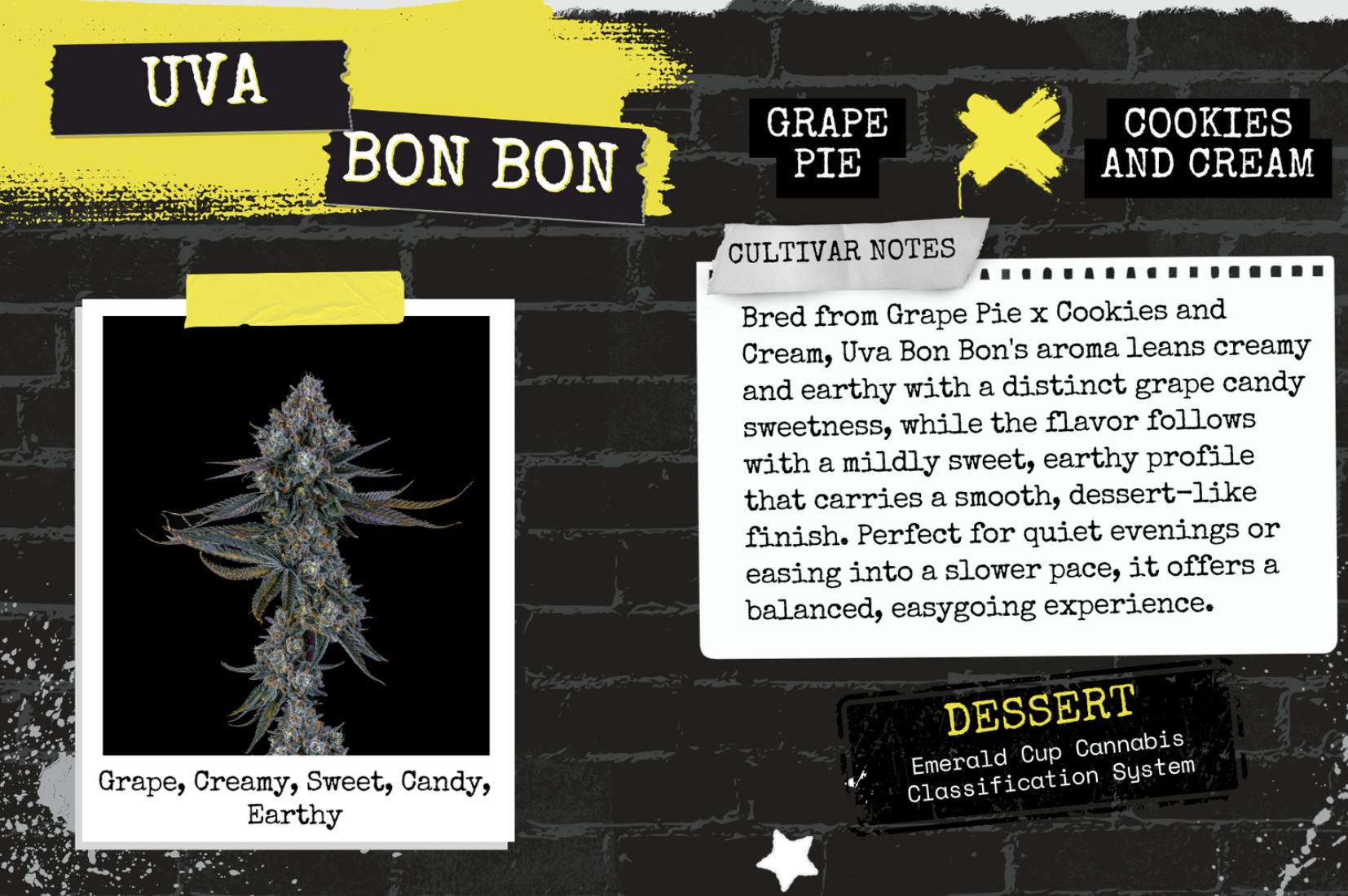 Uva Bon Bon-3.5g TAC 30.56