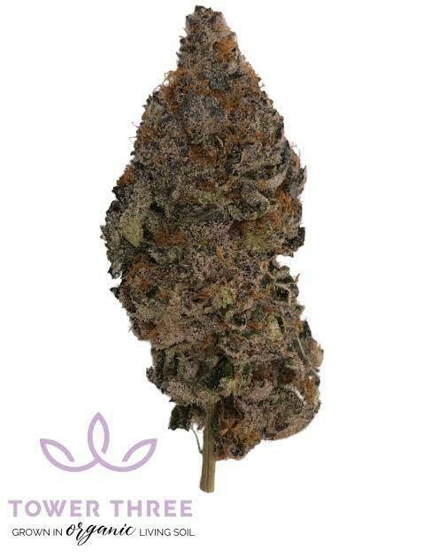 Maple Butter-3.5g TAC 35.90