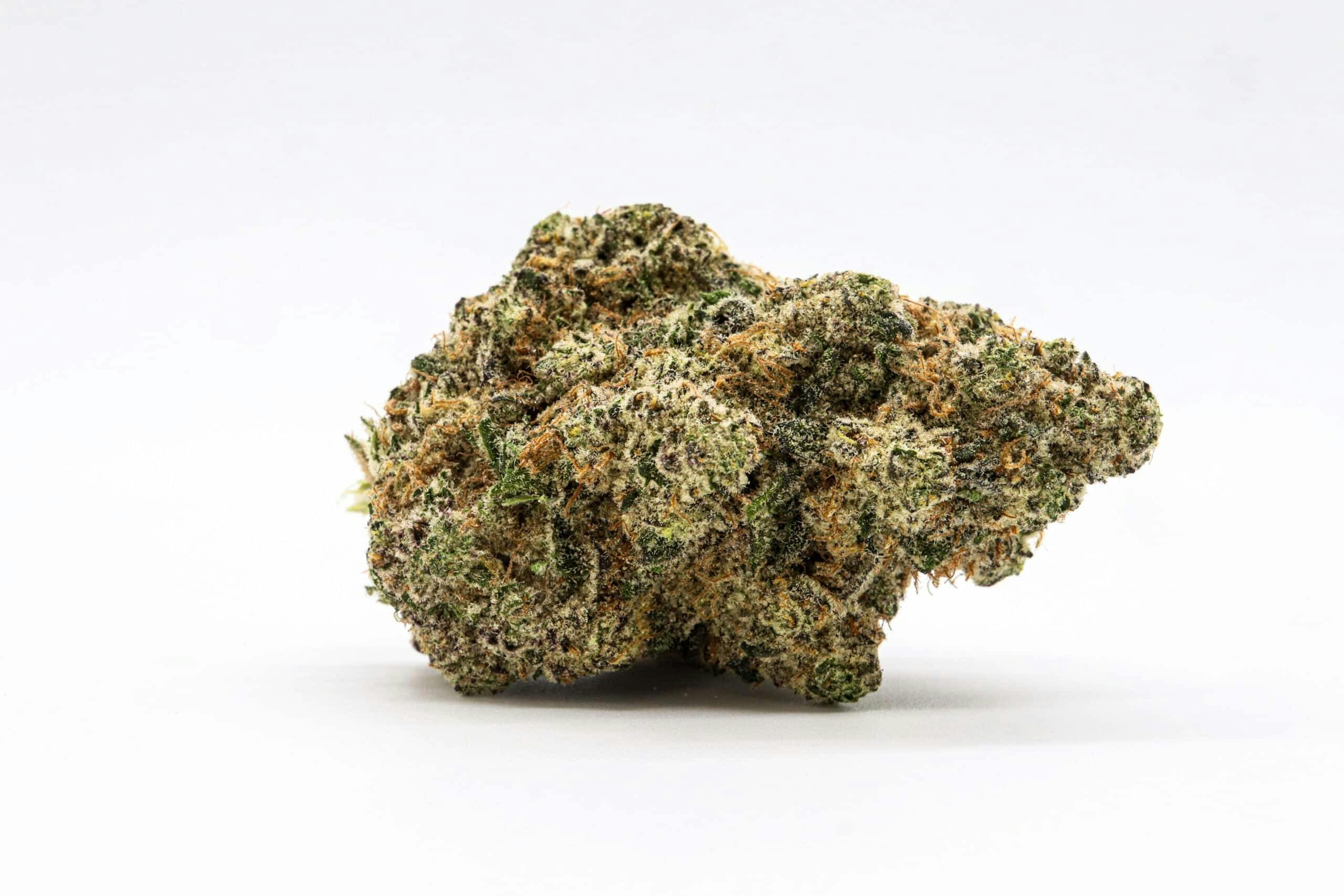 Forbidden Spice-7g Smalls TAC 31.36