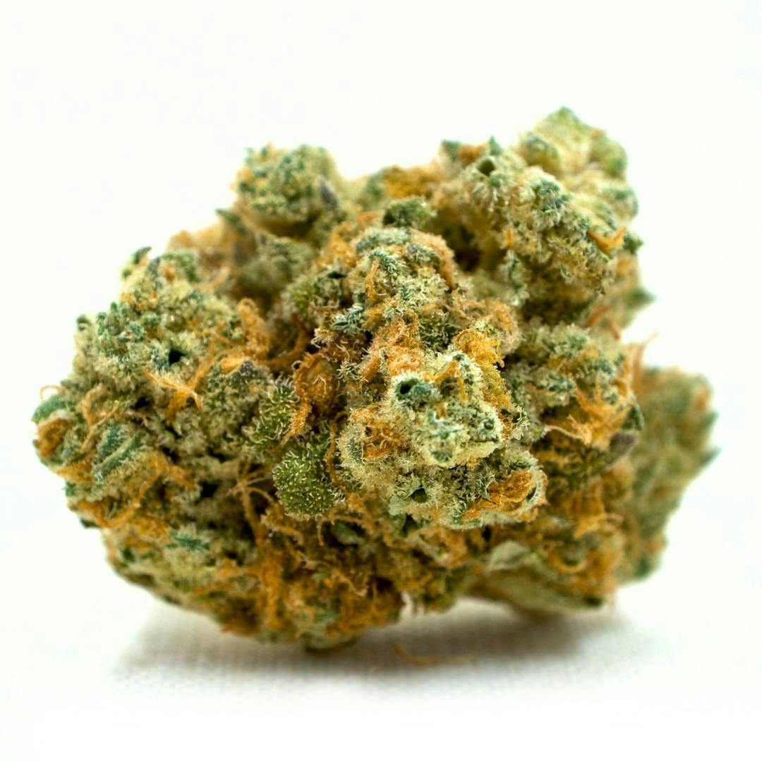 Night Terror OG-Deli TAC: 30.30% at Pioneer Valley Trading Company
