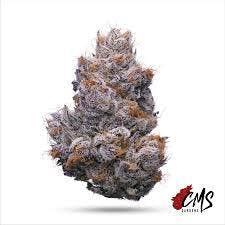 Strawberry Cream Cake-14g TAC 33.52