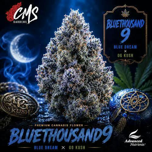 Bluethousand9-14g TAC 32.26