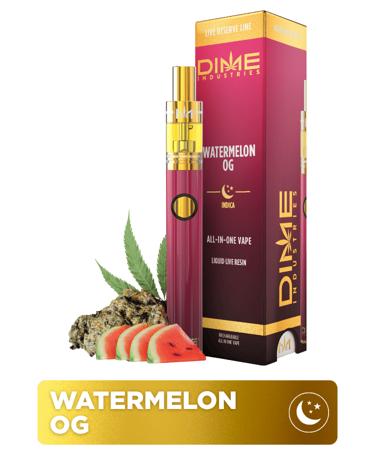 DIME | Disposable Vape | Watermelon OG | 1G