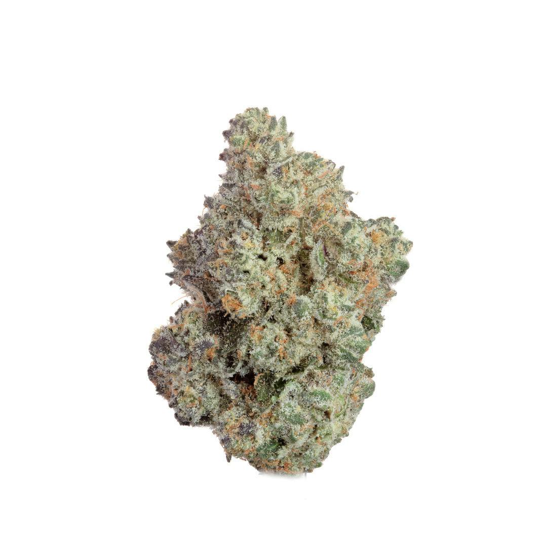 Grease Monkey