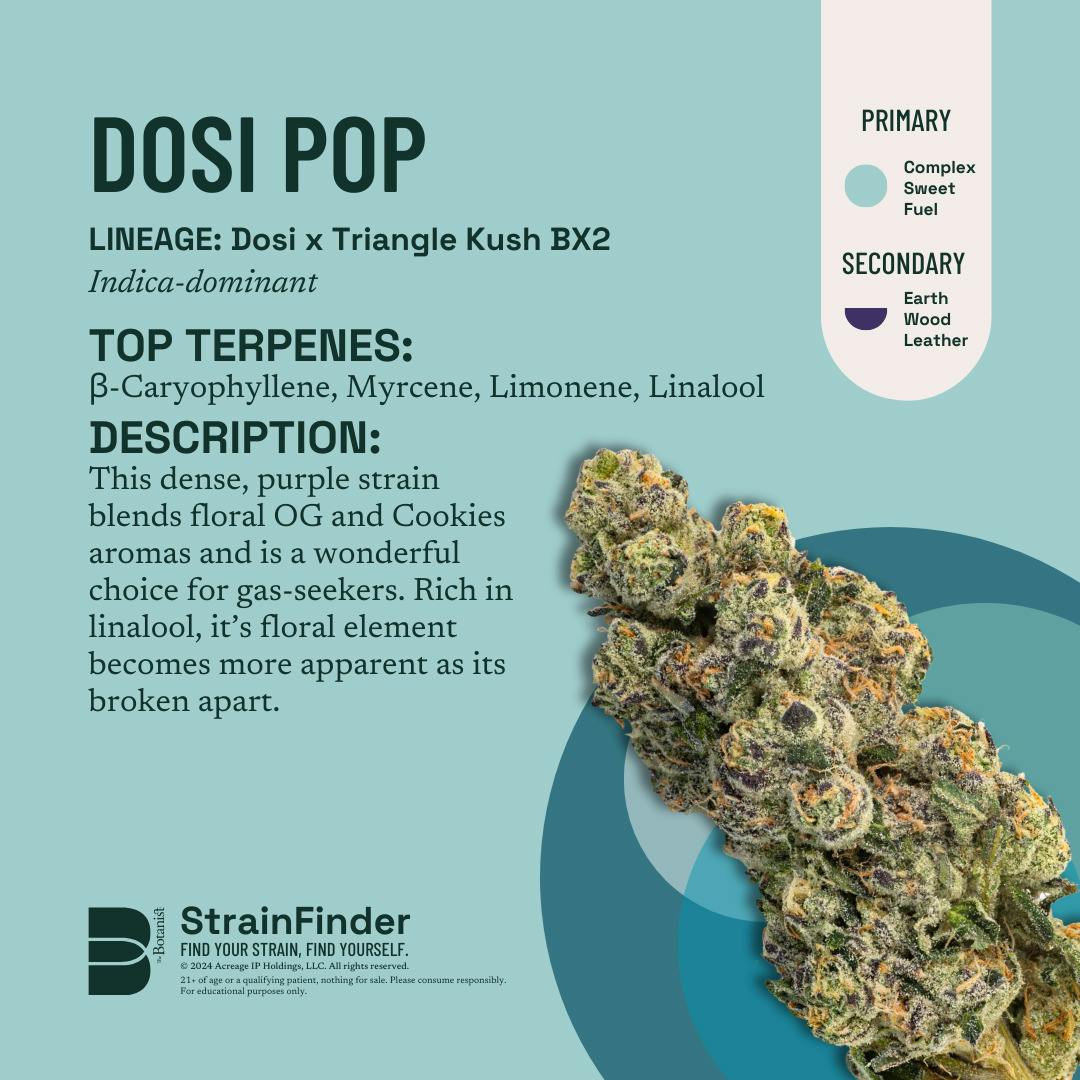 Dosi Pop | 14.15g Bigs