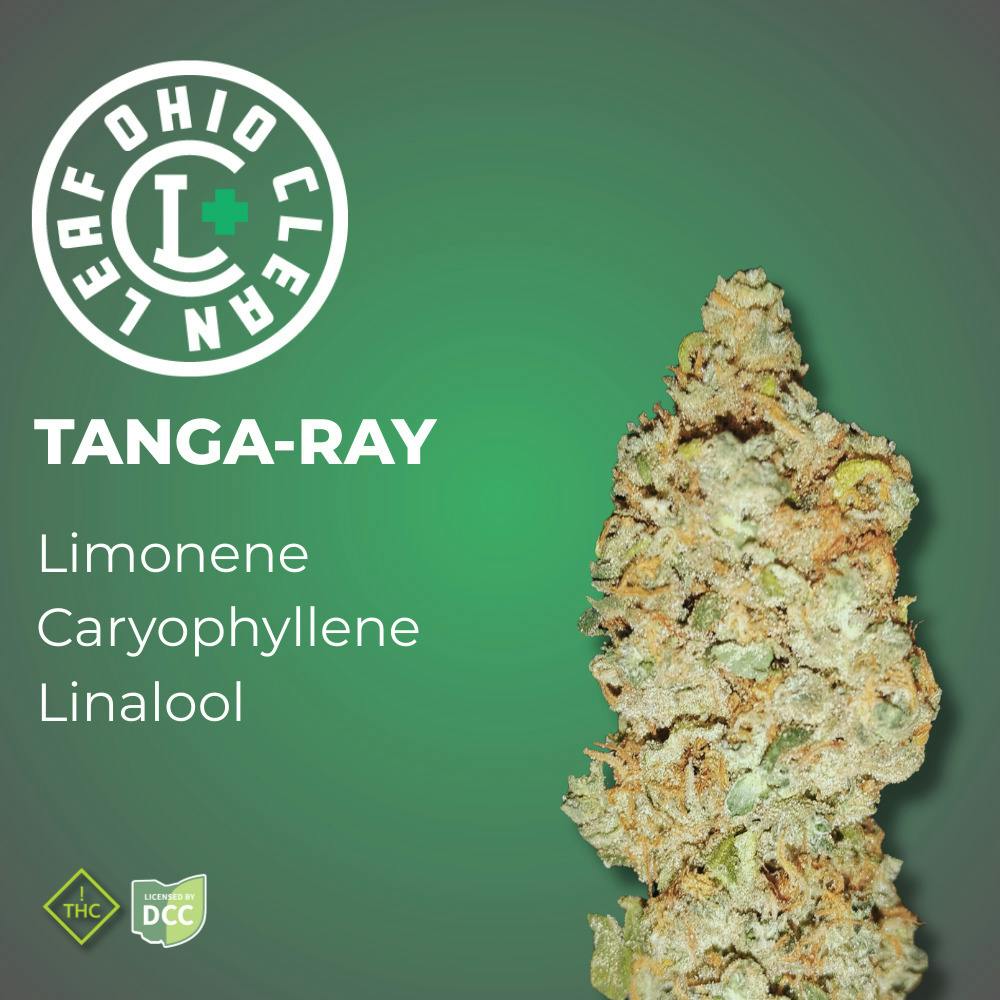 Tanga Ray | 14.15g Bigs