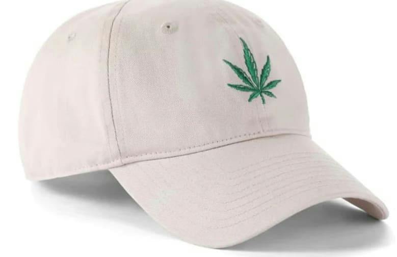Embroidered Leaf Beige Cap