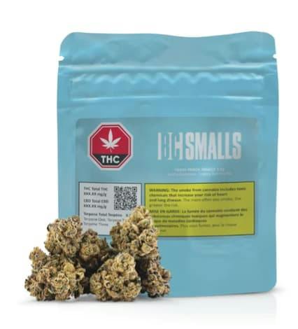 TRASH PANDA SMALLS - 3.5