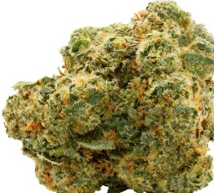 BLUE THAI #2 - 28