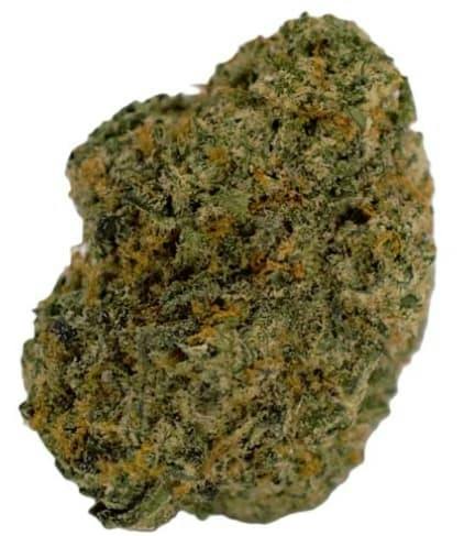 PINK ZKITTLEZ SMALLS - 14