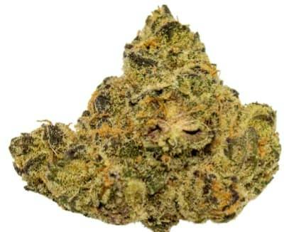 WAFFLE CONE WHOLE FLOWER - 7
