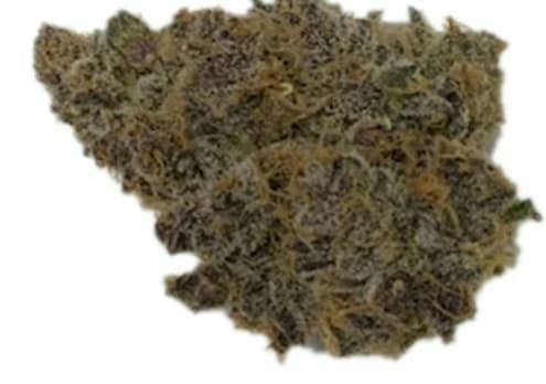 LEMONADE GUSHERS - 3.5