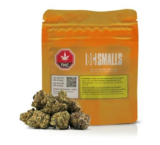 HALLE BLOCKBERRY SMALLS - 3.5