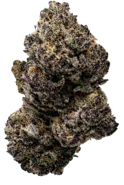 PURPLE LEMONADE - 14