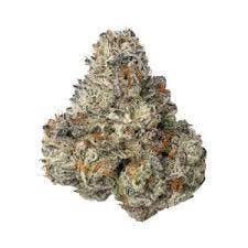 Gold Shelf - Fresh - Fiji Sunset (H)