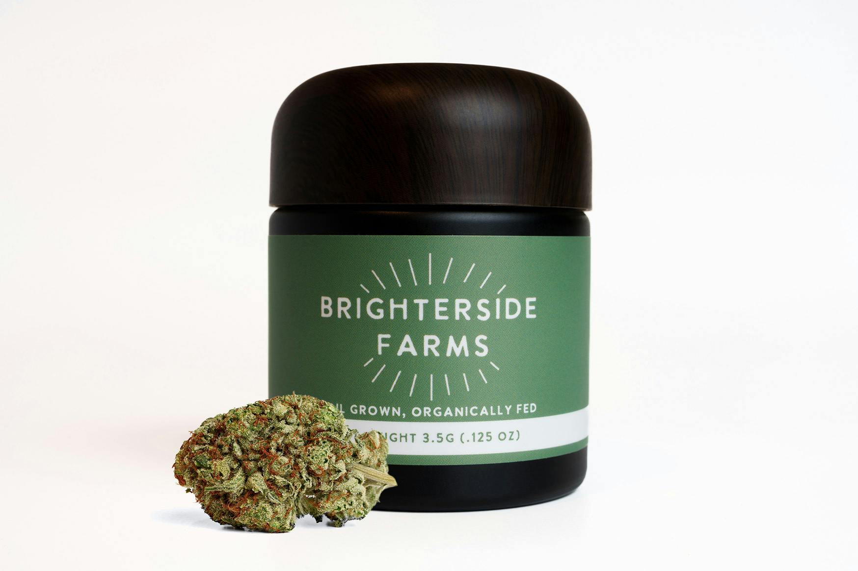 Platinum Shelf - Brighterside - Gelato Mints (I)