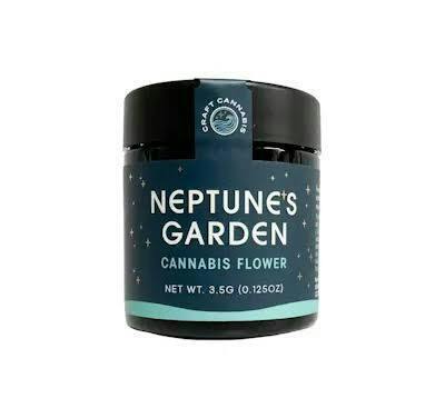 Platinum Shelf - Neptune's Garden - Lemon Ice Cream (H)