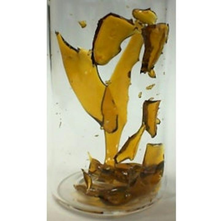 Kush Belts Shatter - 1000mg