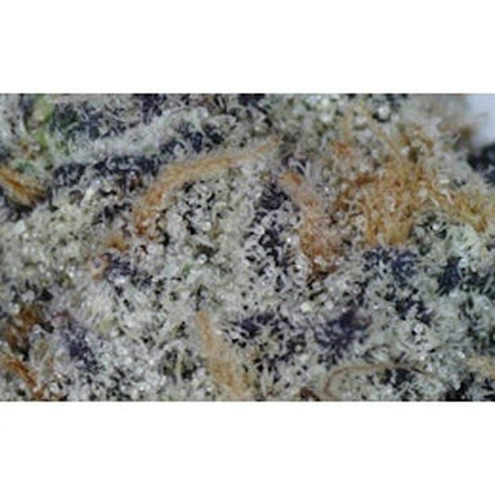 Fire Zuchi - Loose cannabis product