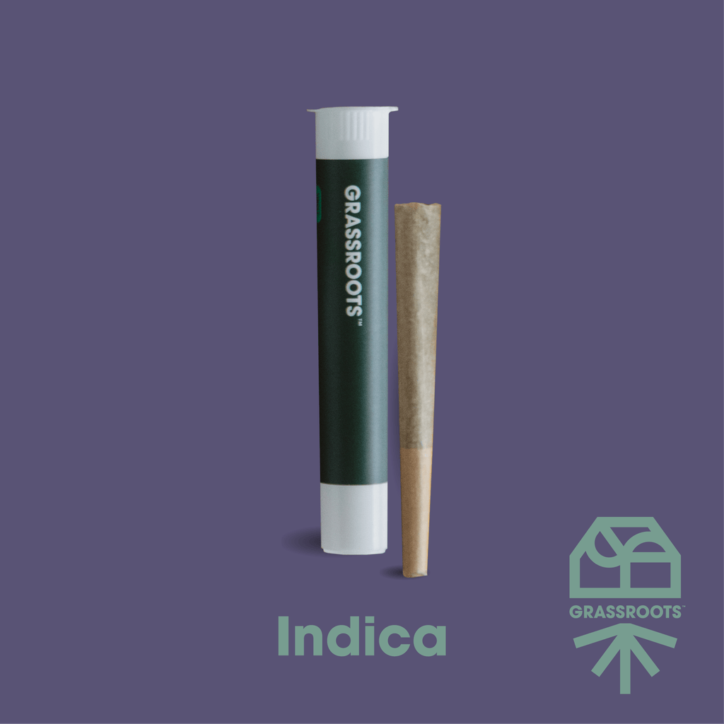 Grassroots Pillow Mints Pre-Roll 1g at Curaleaf Dispensary Sanford