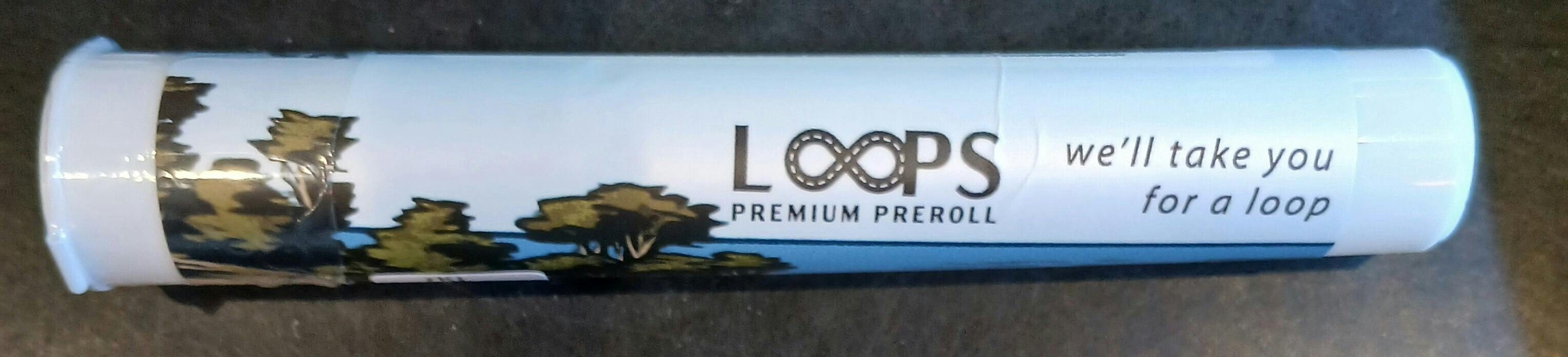 Bottserk Loops