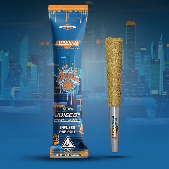 Sluggers Hit — NYC Diesel