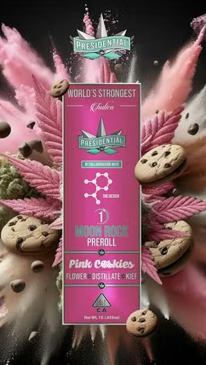 Presidential Moon Rock Pink Cookies