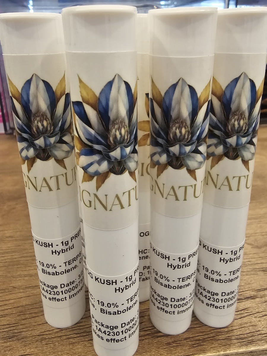 OG Kush Preroll - 1g | Signature at Coast Cannabis