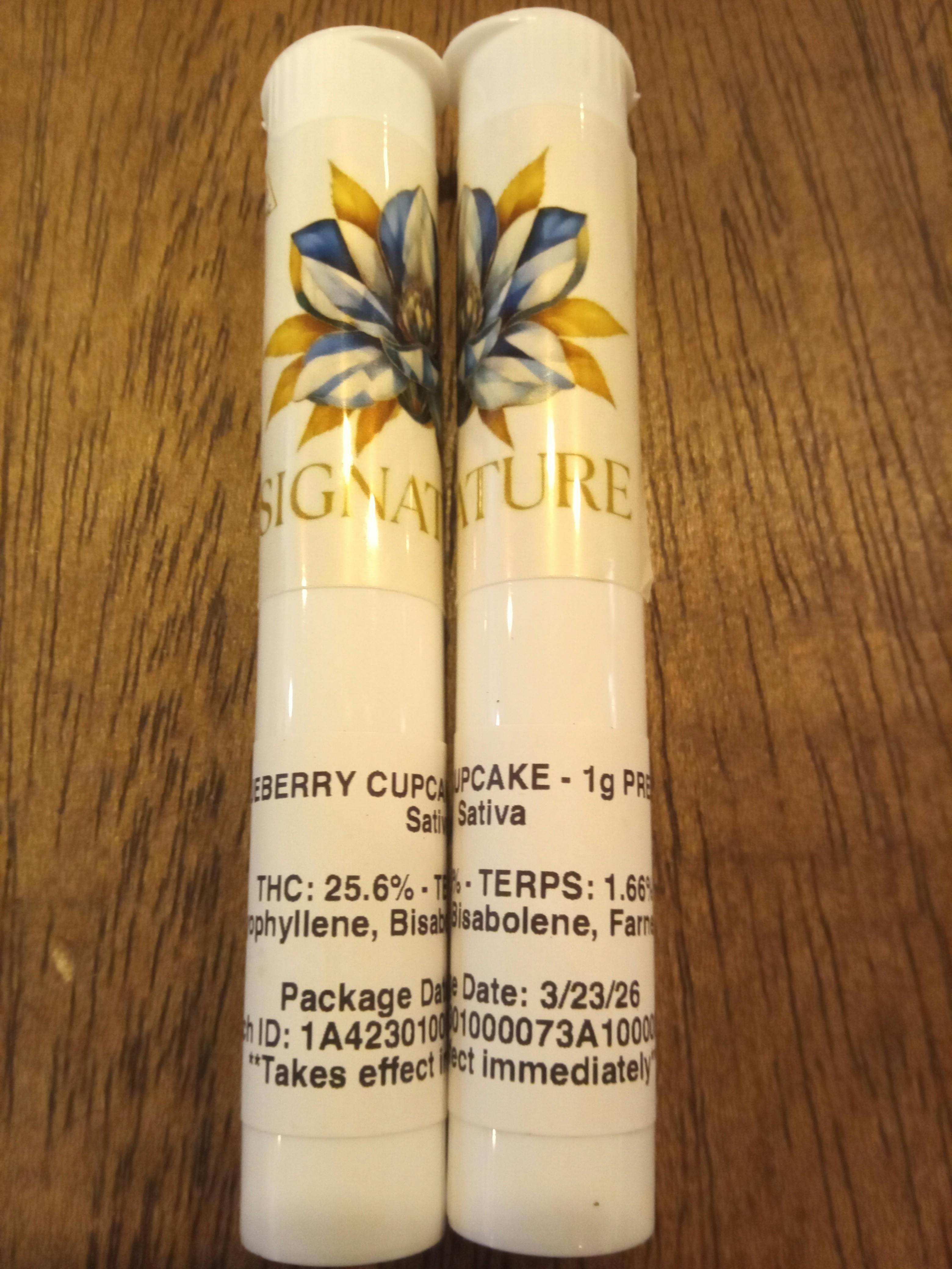 Blueberry Cupcake | 1G Preroll | Signature at Coast Cannabis