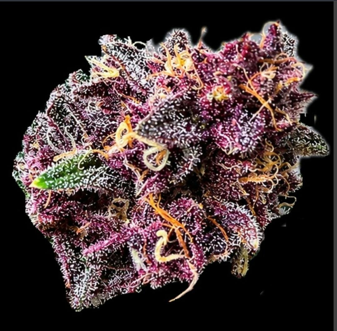 Super Buff Cherry | 7G Flower Bag | Sweet Life