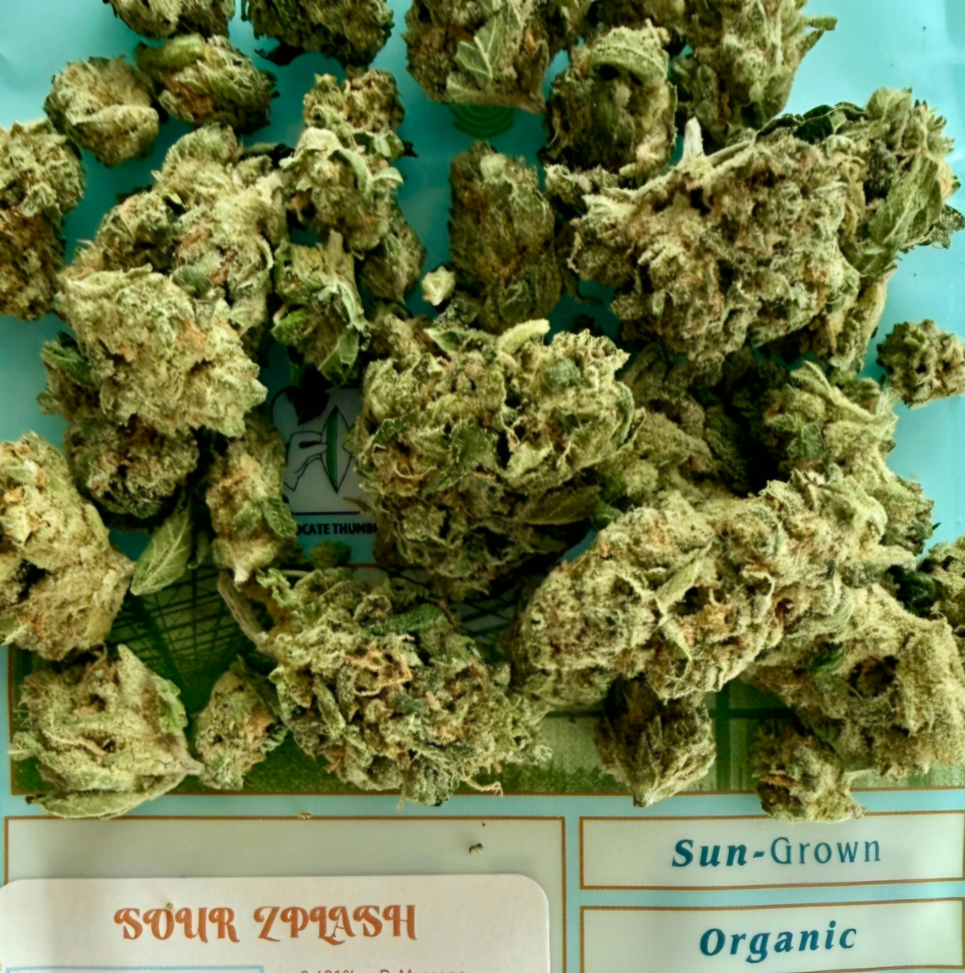 Sour Zplash | 7G Flower | Pure MS
