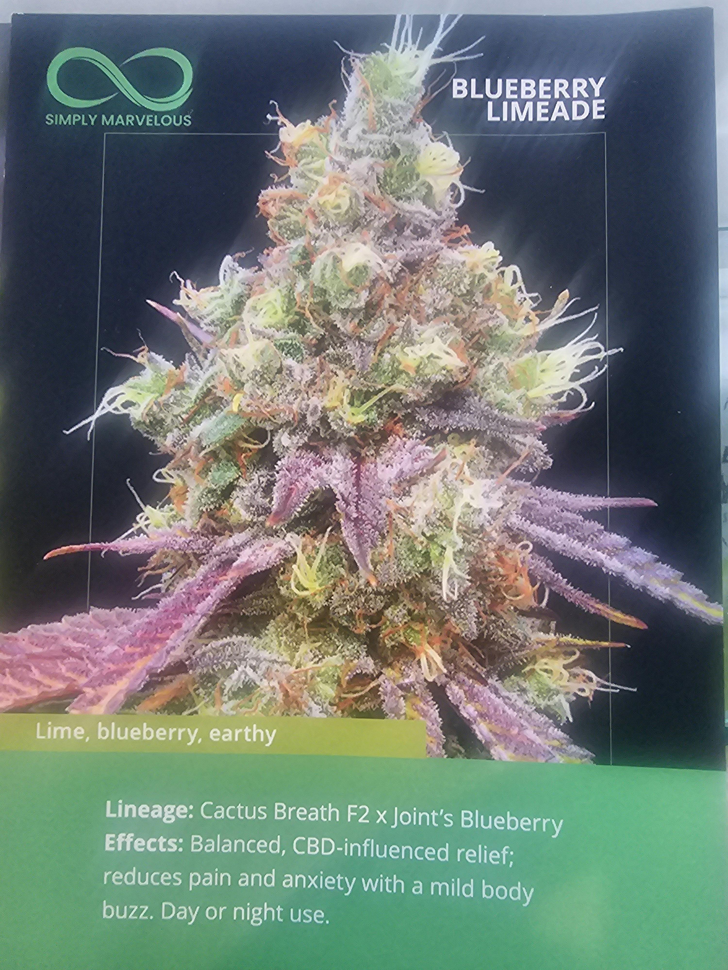 Blueberry Limeade | 3.5G Flower | Simply Marvelous