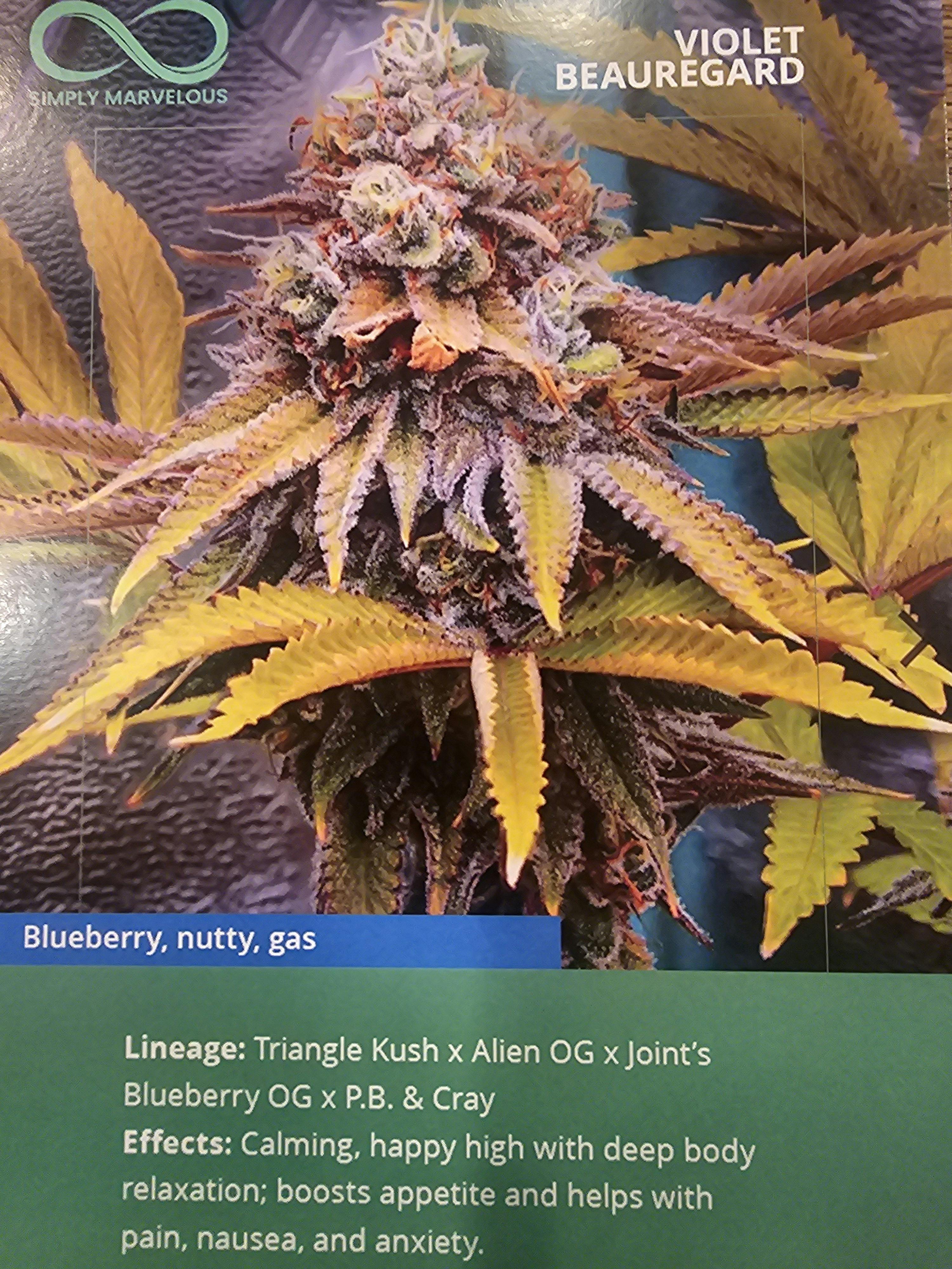 Violet Beauregard | 3.5G Flower | Simply Marvelous