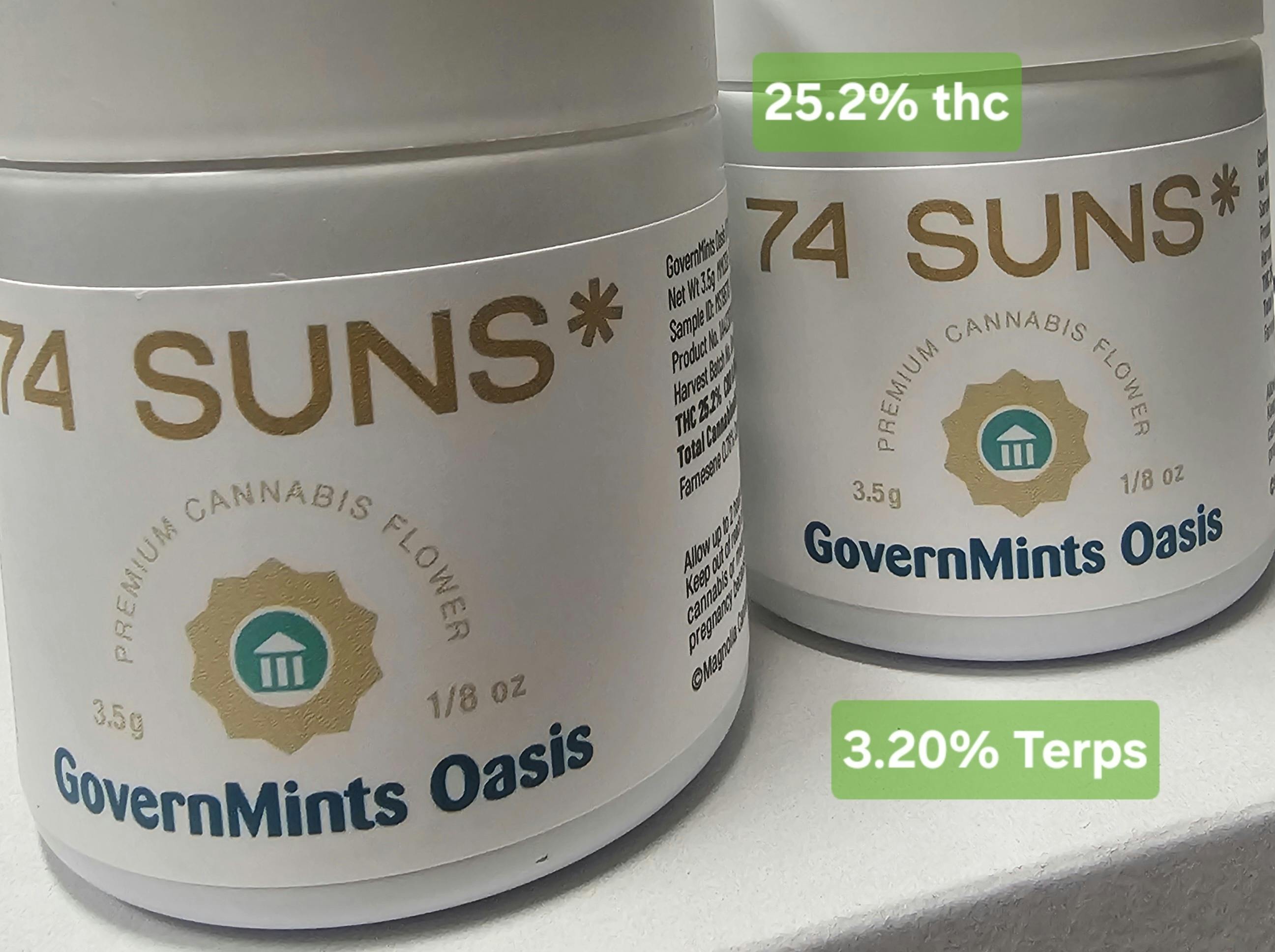 GovernMints Oasis | 3.5G Flower | 74 Suns