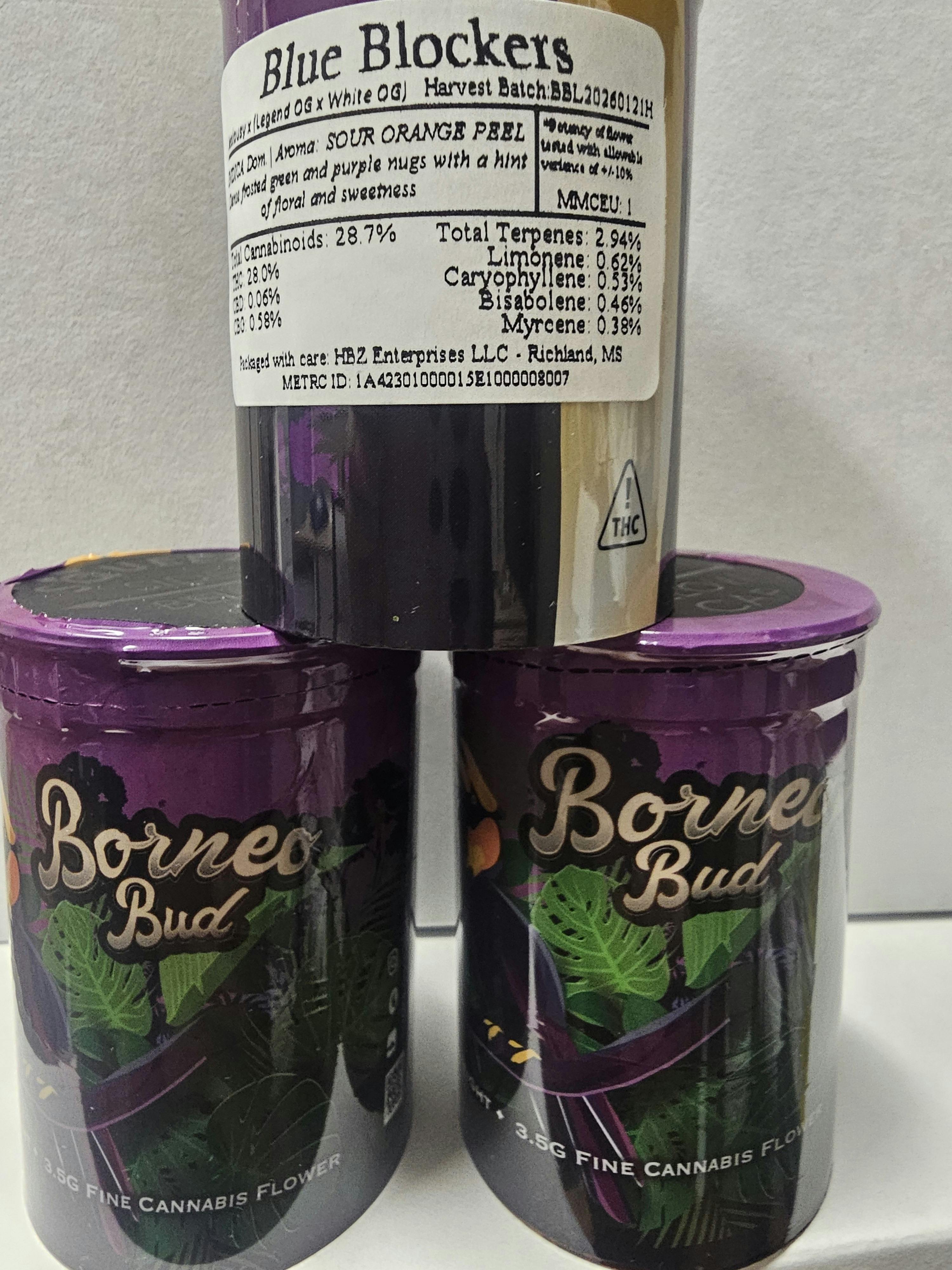 Blue Blockers | 3.5G Flower | Borneo Buds