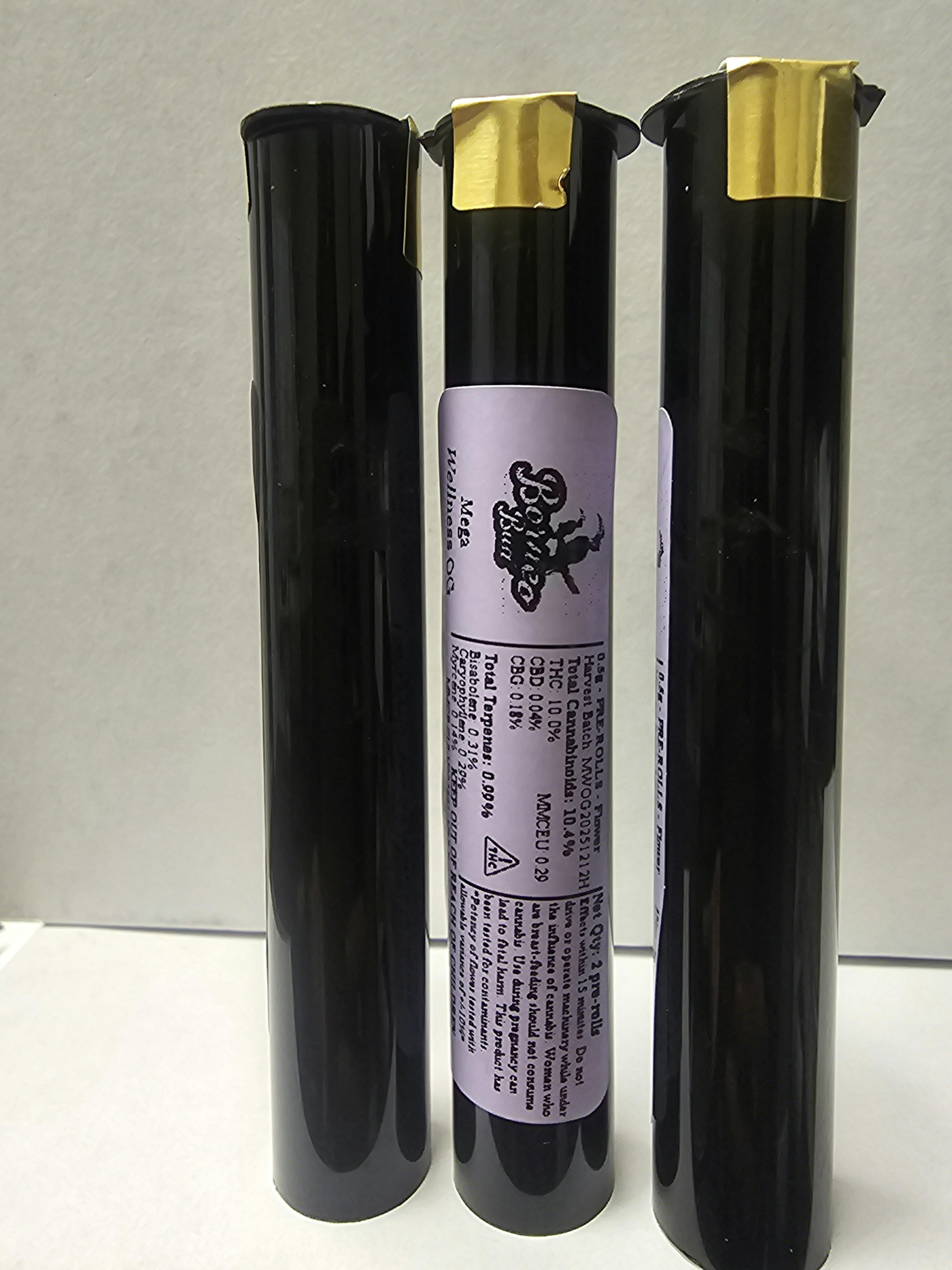 Mega Wellness OG | 1G (2x0.5G) PreRolls | Borneo Bud at Coast Cannabis