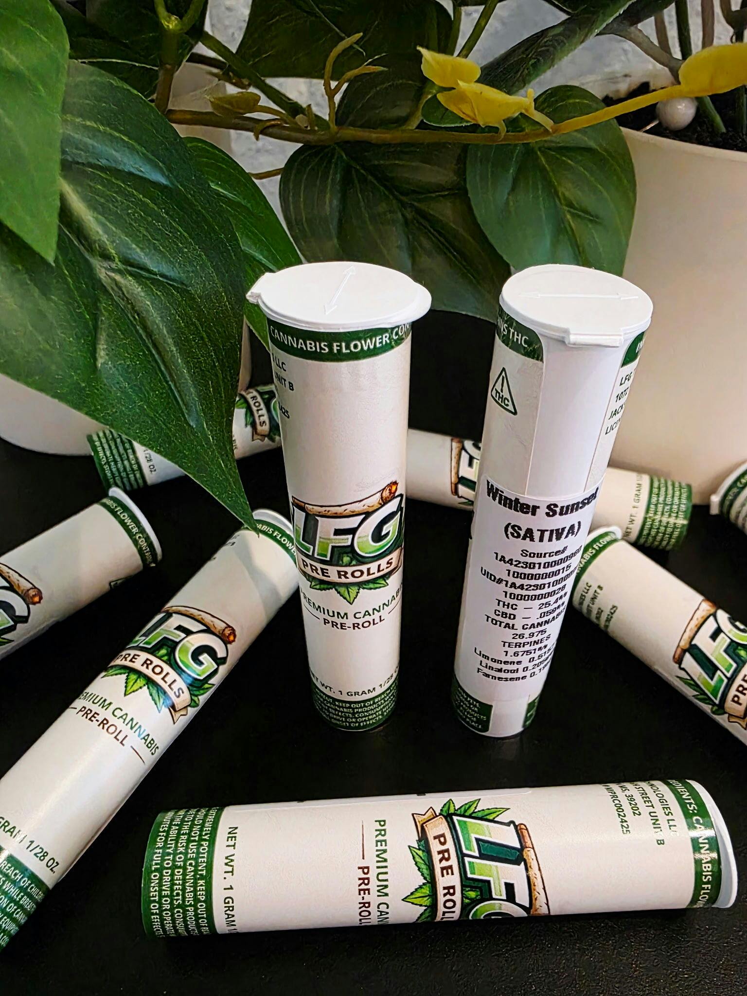 Winter Sunset | 1G (.05Gx2) Bad Ass Pre Rolls | LFG Technology at Coast Cannabis