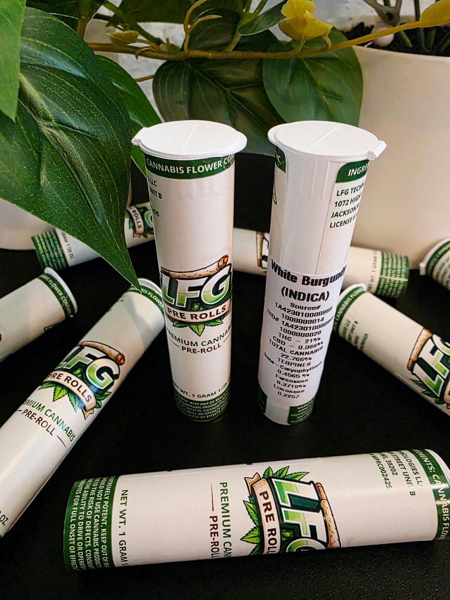 White Burgandy | 1G (.5Gx2) Super Fresh Pre Rolls | LFG Technology at Coast Cannabis