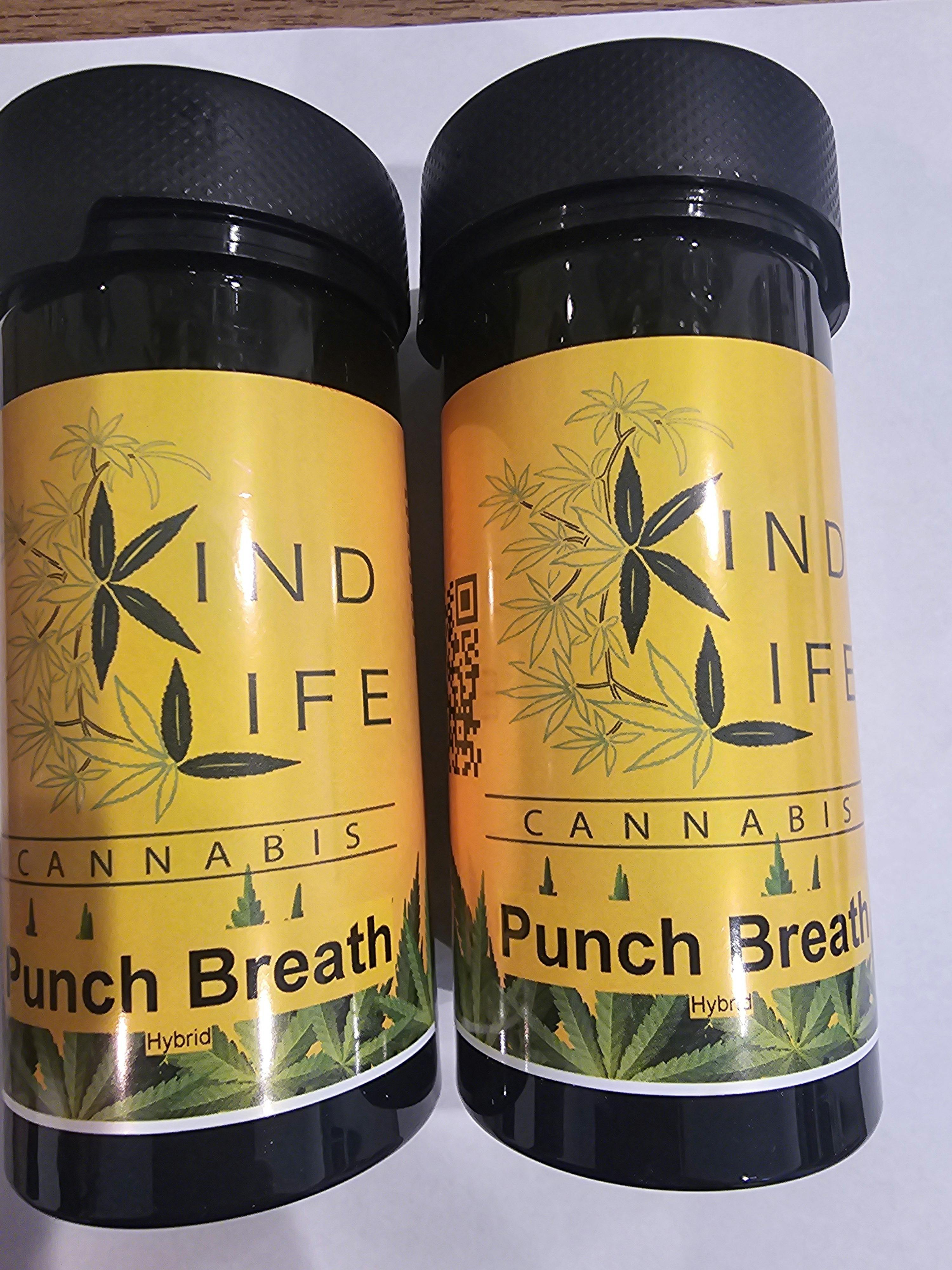 Punch Breath 7g Flower | Kind Life